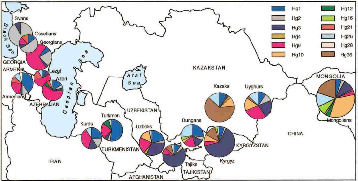 Haplogroup frequencies across Central Asia.